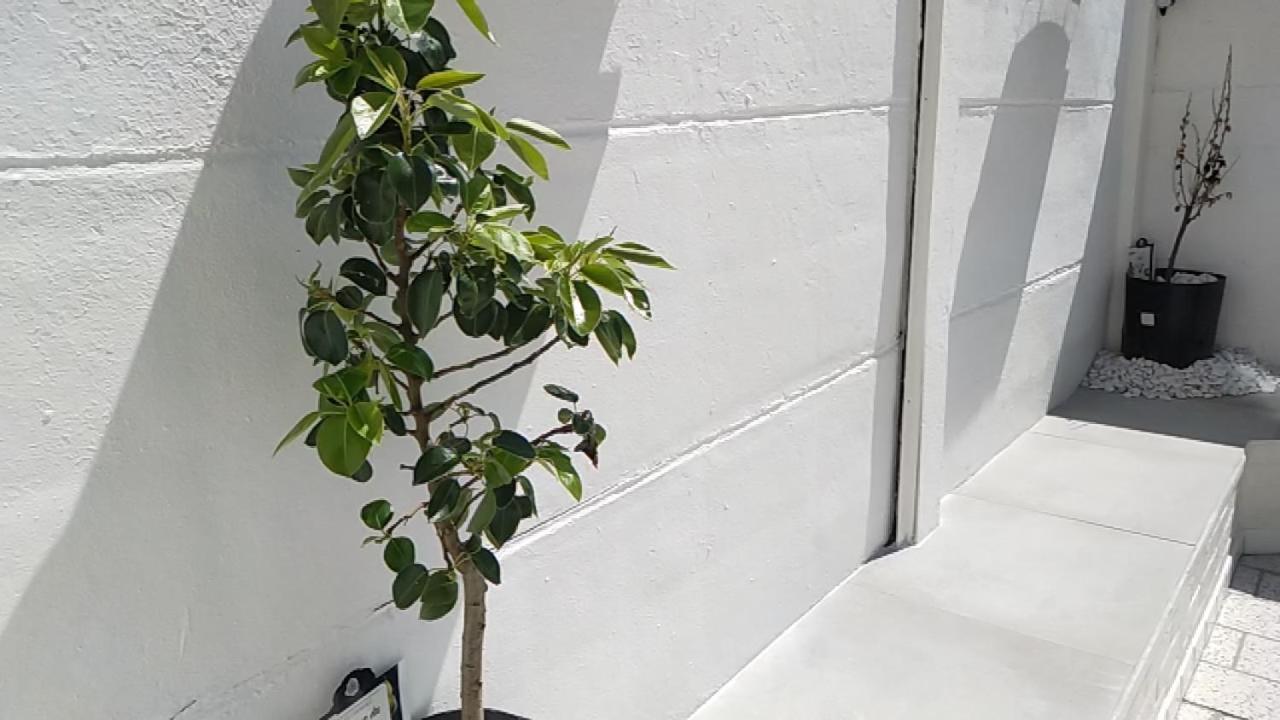 朗斯Le 32别墅 外观 照片